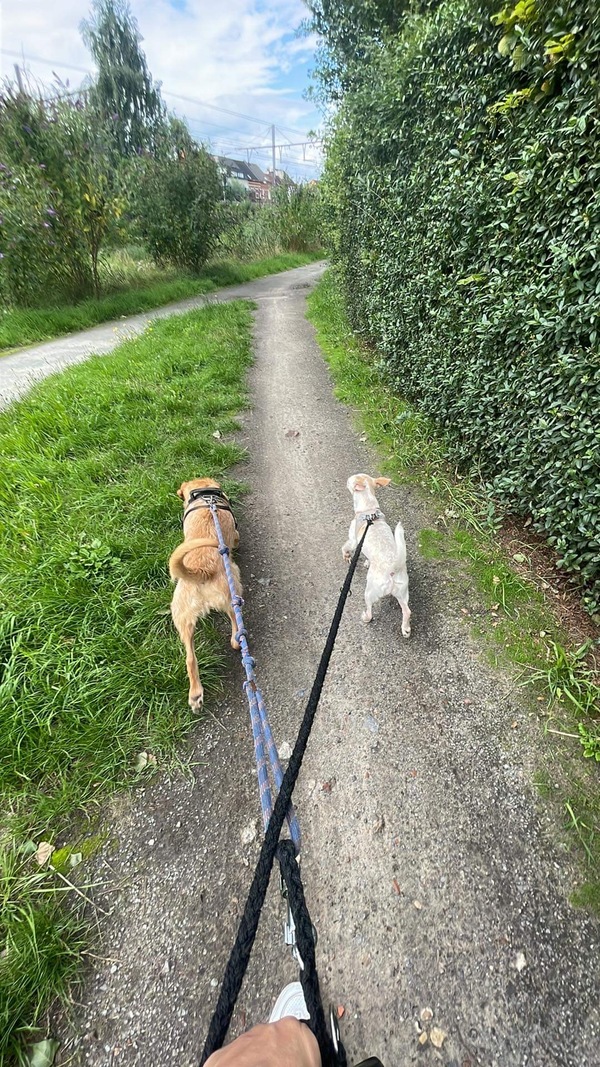 Rhea en Uma wandelen